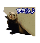 コロコロまるたん♪（個別スタンプ：39）
