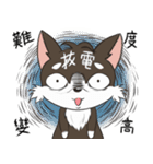 掘る犬（個別スタンプ：1）