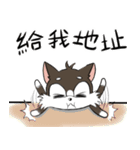 掘る犬（個別スタンプ：8）