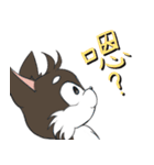 掘る犬（個別スタンプ：40）