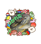 かめかめ お正月（個別スタンプ：4）