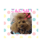 コナンのご挨拶！（個別スタンプ：1）