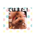 コナンのご挨拶！（個別スタンプ：14）