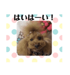 コナンのご挨拶！（個別スタンプ：16）