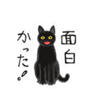 黒猫 (日常、共感表現）（個別スタンプ：14）