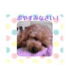 アンジーのご挨拶！（個別スタンプ：4）
