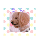アンジーのご挨拶！（個別スタンプ：8）