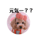 アンジーのご挨拶！（個別スタンプ：9）