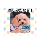 アンジーのご挨拶！（個別スタンプ：14）