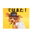 アンジーのご挨拶！（個別スタンプ：15）