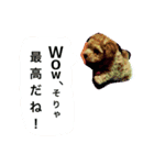 たまお。（個別スタンプ：8）
