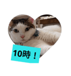 我のぼんさん（個別スタンプ：3）