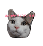 我のぼんさん（個別スタンプ：5）