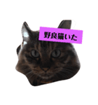 我のぼんさん（個別スタンプ：6）