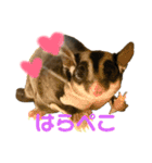 うちのメイちゃん2017-2018（個別スタンプ：24）