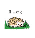 ハリネズミうな（個別スタンプ：9）