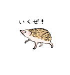 ハリネズミうな（個別スタンプ：17）