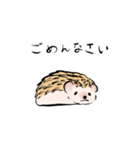 ハリネズミうな（個別スタンプ：20）