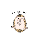 ハリネズミうな（個別スタンプ：23）