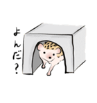 ハリネズミうな（個別スタンプ：37）