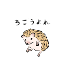 ハリネズミうな（個別スタンプ：38）