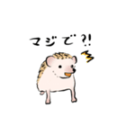 ハリネズミうな（個別スタンプ：40）