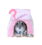 ぴーぷの可愛いスタンプ（個別スタンプ：2）