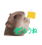 ぴーぷの可愛いスタンプ（個別スタンプ：14）