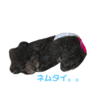 locoちゃんっっ（個別スタンプ：3）