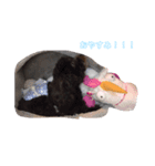 locoちゃんっっ（個別スタンプ：8）