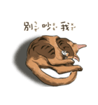 啾啾のにちじょう（個別スタンプ：1）