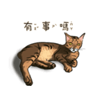 啾啾のにちじょう（個別スタンプ：2）
