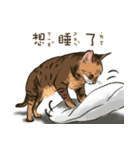 啾啾のにちじょう（個別スタンプ：4）