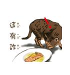 啾啾のにちじょう（個別スタンプ：5）