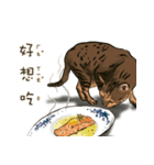 啾啾のにちじょう（個別スタンプ：11）