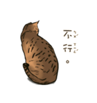 啾啾のにちじょう（個別スタンプ：12）