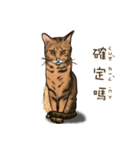 啾啾のにちじょう（個別スタンプ：15）