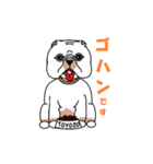 トヨゾー君（個別スタンプ：13）