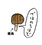 きのこ敬語椛島（個別スタンプ：39）
