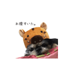 きなこスタンプ happy（個別スタンプ：1）
