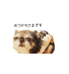 きなこスタンプ happy（個別スタンプ：2）