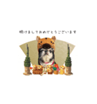 きなこスタンプ happy（個別スタンプ：7）