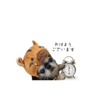 きなこスタンプ happy（個別スタンプ：8）