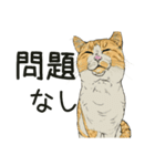 保護猫 癒しスタンプ1（個別スタンプ：1）