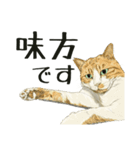 保護猫 癒しスタンプ1（個別スタンプ：6）
