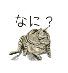 保護猫 癒しスタンプ1（個別スタンプ：8）
