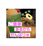あおいちゃんためだけスタンプ（個別スタンプ：3）