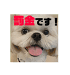あおいちゃんためだけスタンプ（個別スタンプ：14）