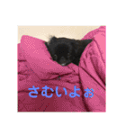 あおいちゃんためだけスタンプ（個別スタンプ：29）