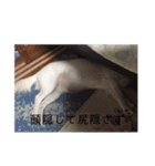 ましゅたんぐ7（個別スタンプ：3）